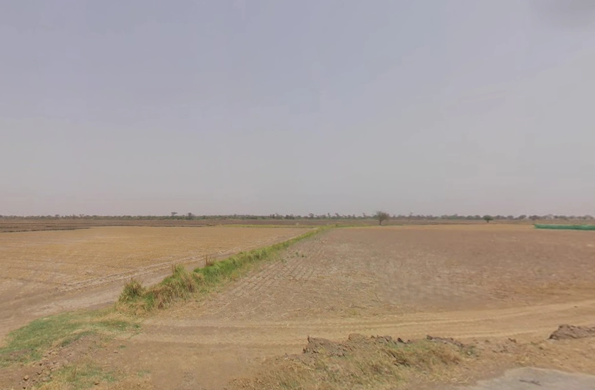 Farukh Nagar, Haryana 122506, India