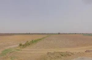 Farukh Nagar, Haryana 122506, India preview 2