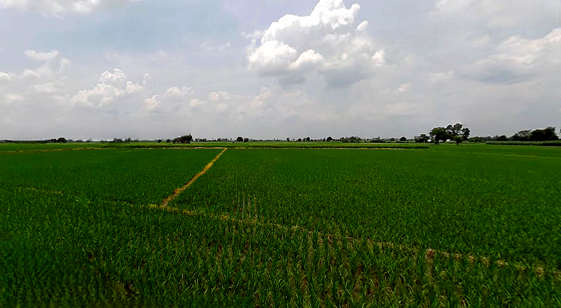 Morinda - Chunni Rd, Bhateri, Punjab, India