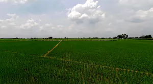 Morinda - Chunni Rd, Bhateri, Punjab, India preview 2