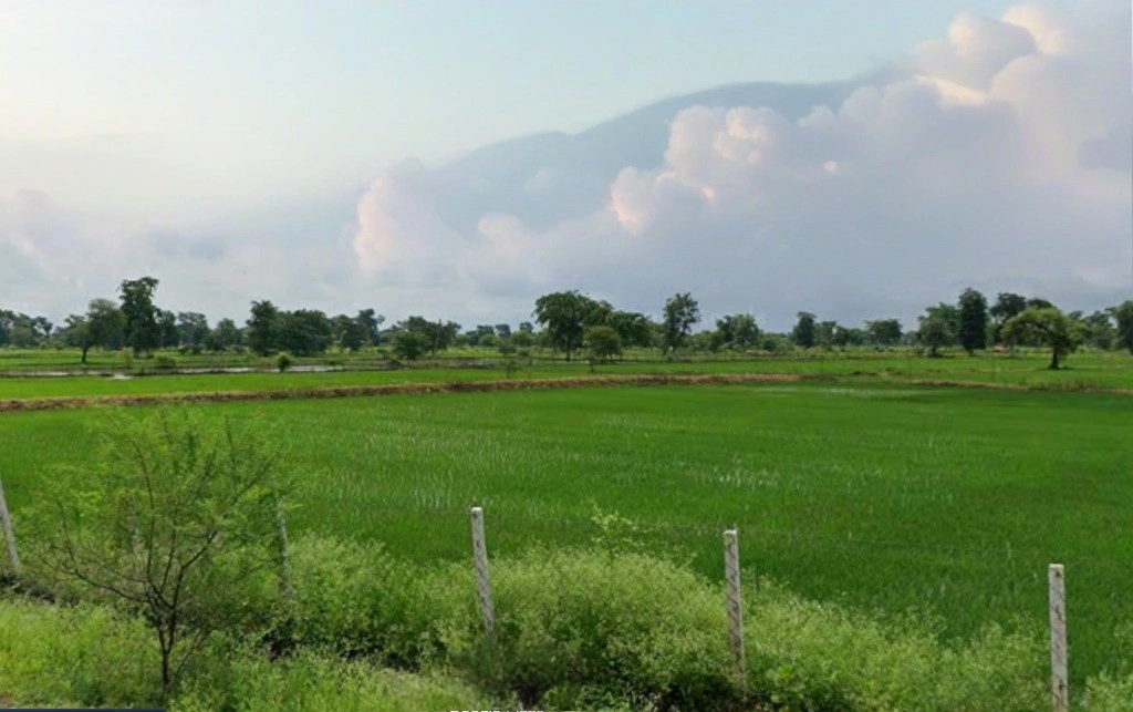 Patewa, Chhattisgarh 493551, India