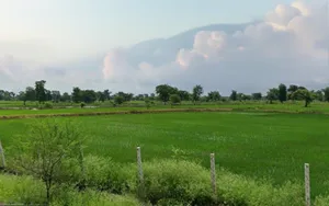 Patewa, Chhattisgarh 493551, India preview 2