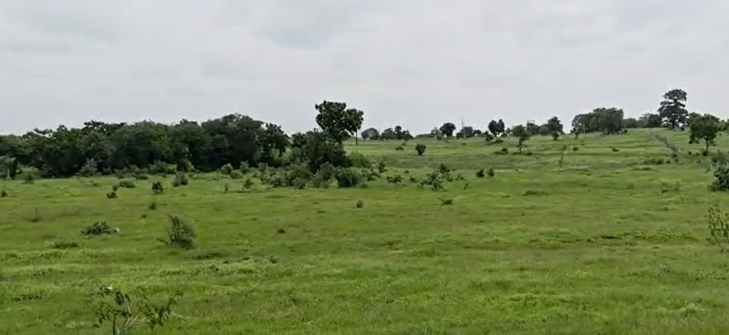 CVWQ+XQ Habib saleem land, Vikarabad, Kojjavanampalle, Telangana 501102, India