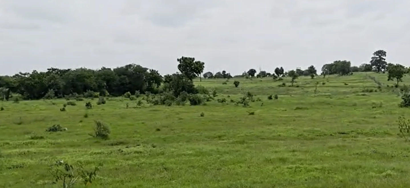 CVWQ+XQ Habib saleem land, Vikarabad, Kojjavanampalle, Telangana 501102, India - Photo 3