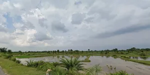 Durlavpur, West Bengal 722133, India preview 3