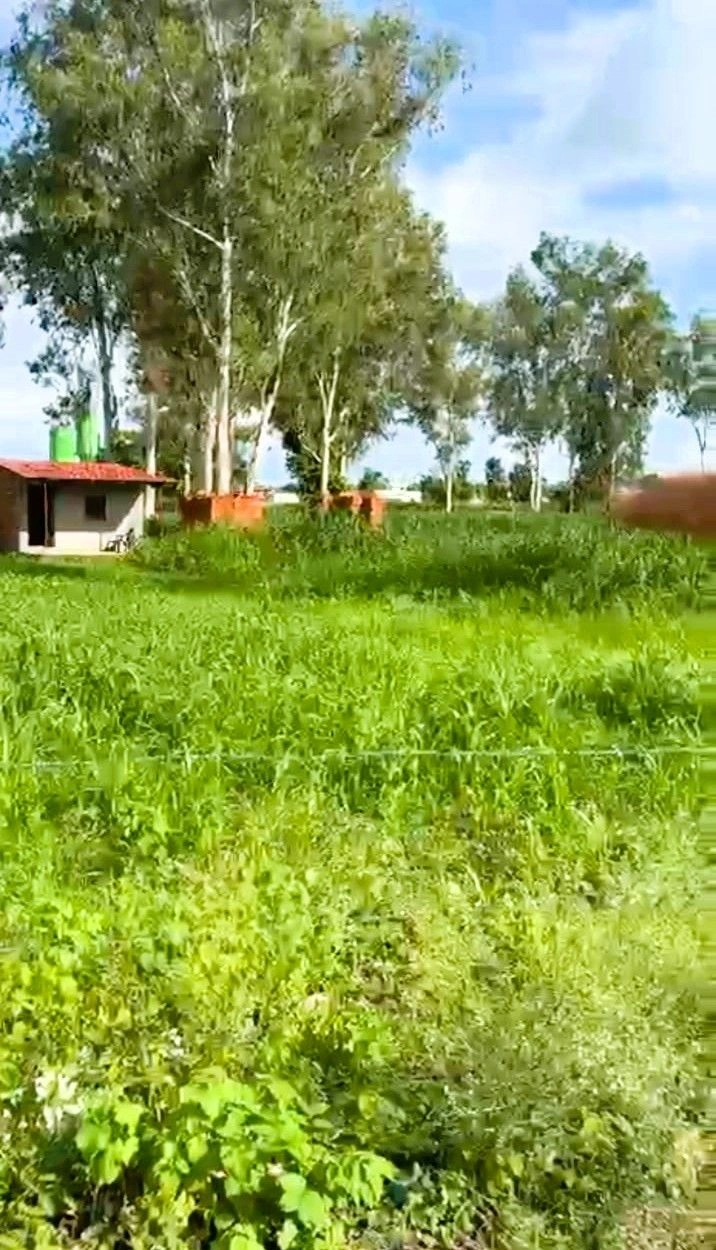 Kalyanpur, Dehradun, Vikasnagar, Uttarakhand 248198, India