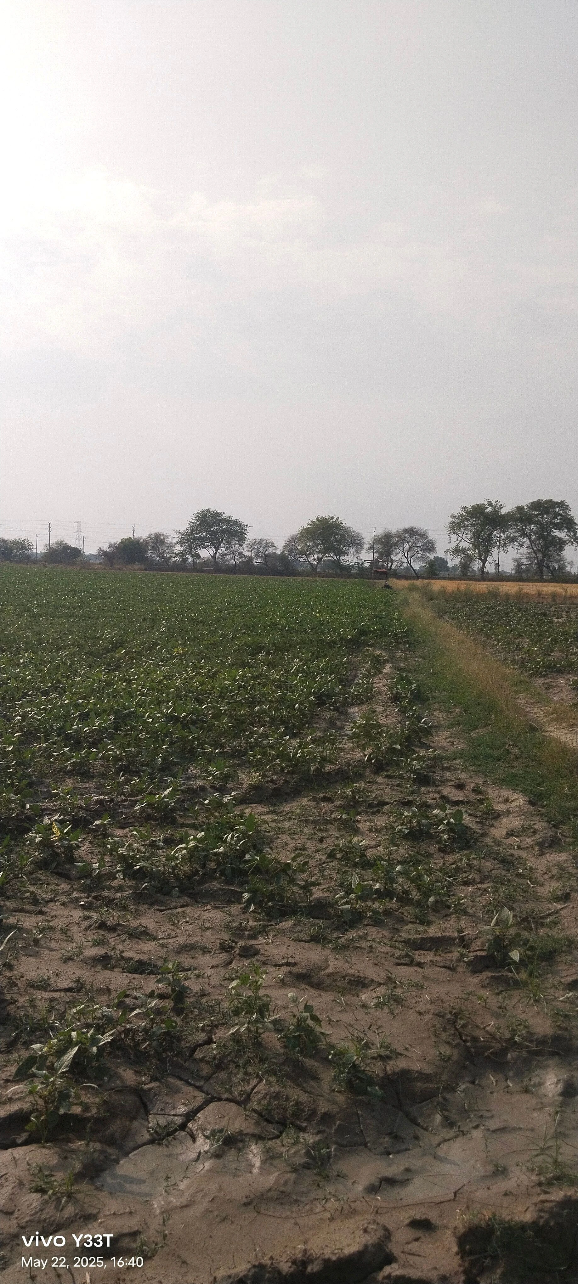 258R+G66, Pandri Gangadin, Uttar Pradesh 209206, India