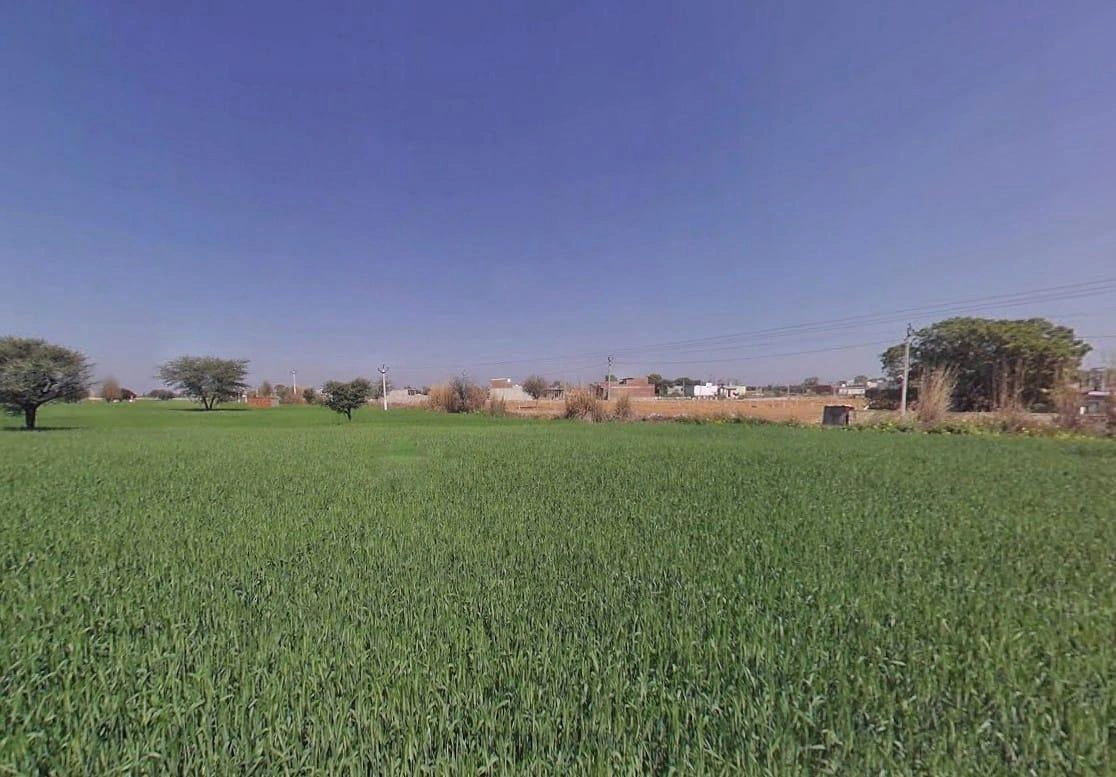 Aloda, Rajasthan 332602, India