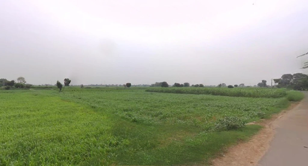 Dhilawati, Rajasthan 321022, India