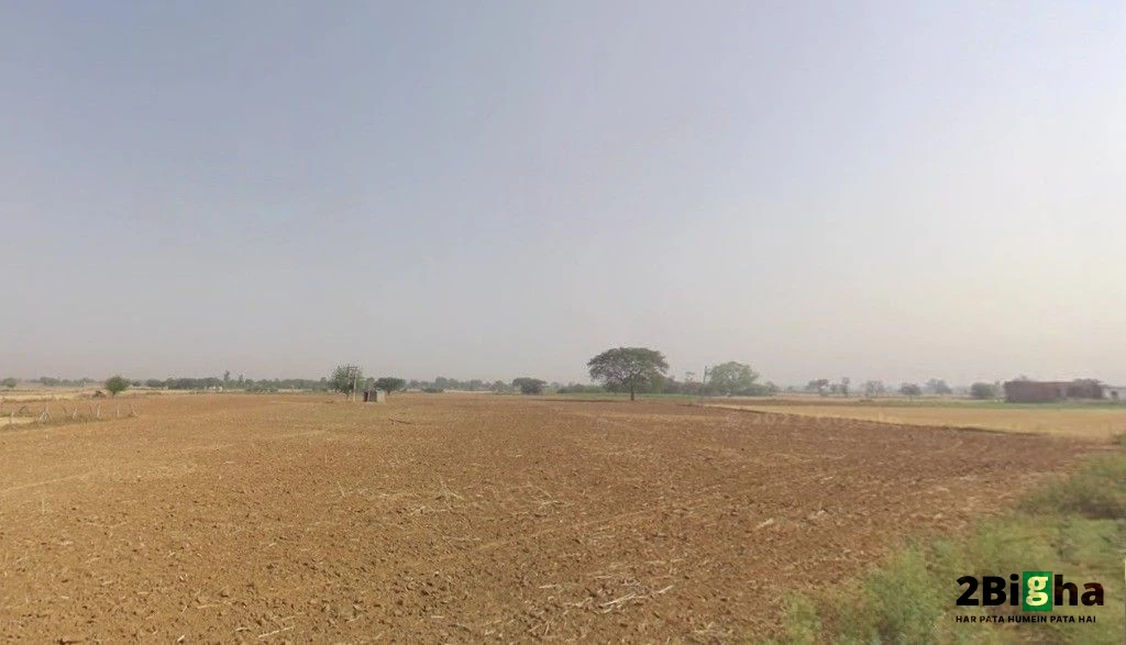 Tijara, Rajasthan 301411, India