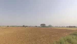 Tijara, Rajasthan 301411, India preview 3