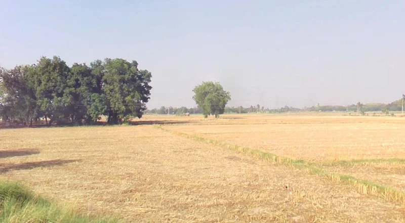 Vidisha, Madhya Pradesh 464001, India preview 3