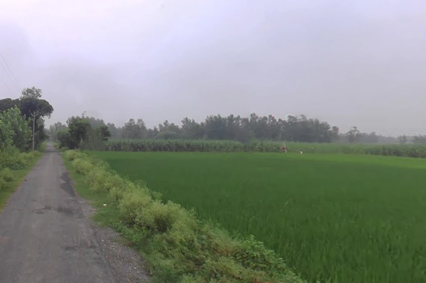 G6CC+P2H, Diodas, Paraura, Uttar Pradesh 243504, India