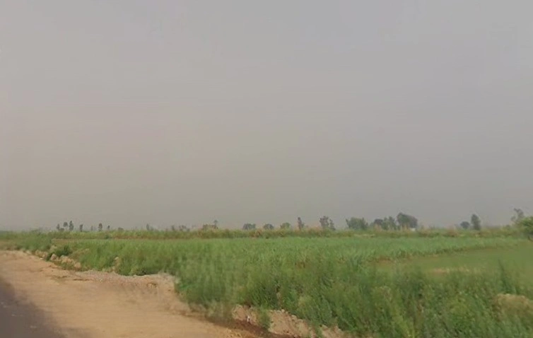 3VR5+JVQ, Mawana Khurd, Uttar Pradesh 250401, India