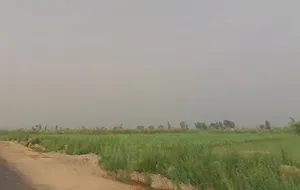 3VR5+JVQ, Mawana Khurd, Uttar Pradesh 250401, India preview 2