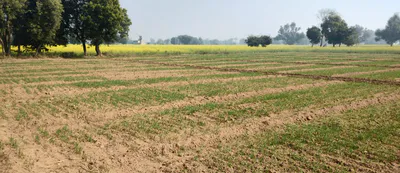Ajnala, Punjab 143102, India preview 2