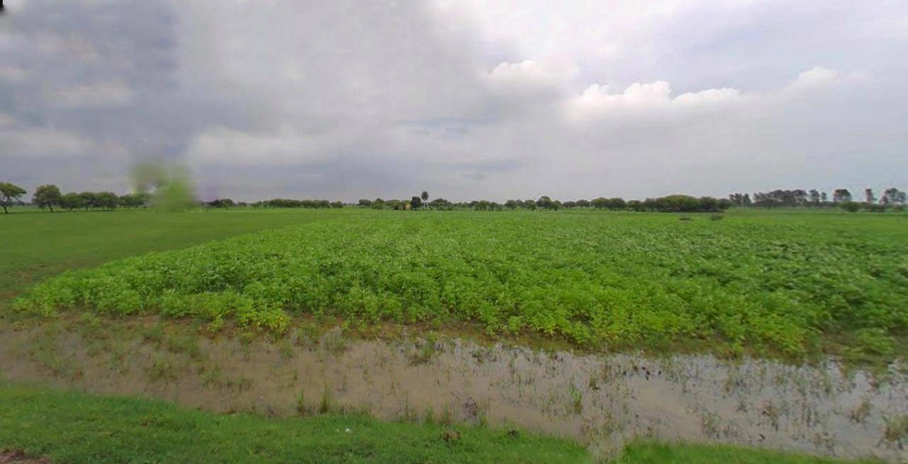 Suratgarh, Rajasthan 335804, India