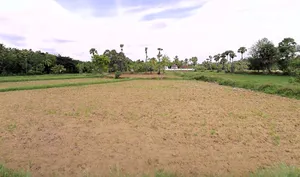 Nellichode, Kerala 678508, India preview 3