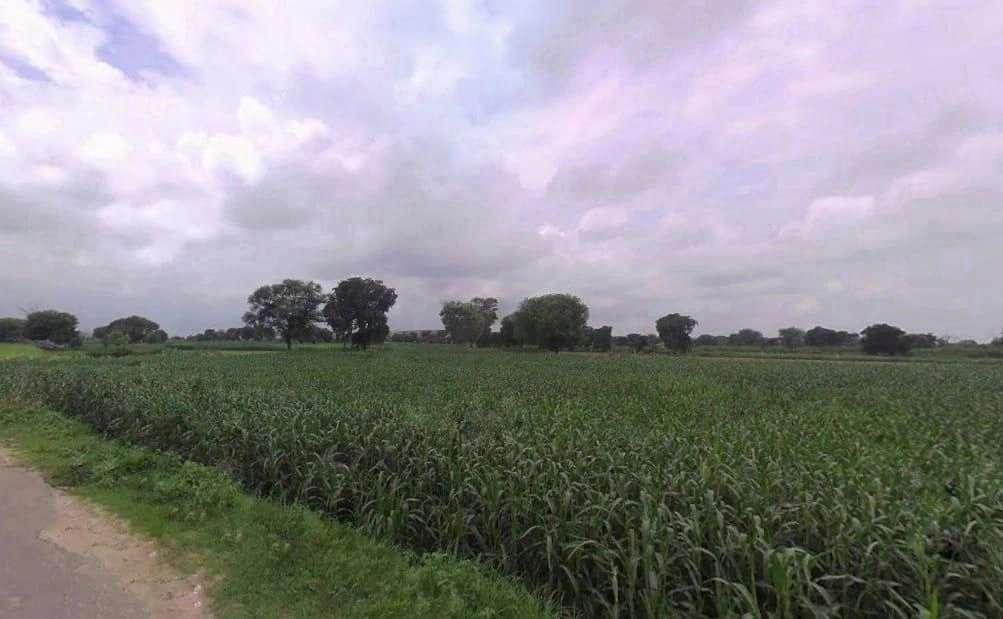 X877+RH2, Nagla Jhamra, Rajasthan, India