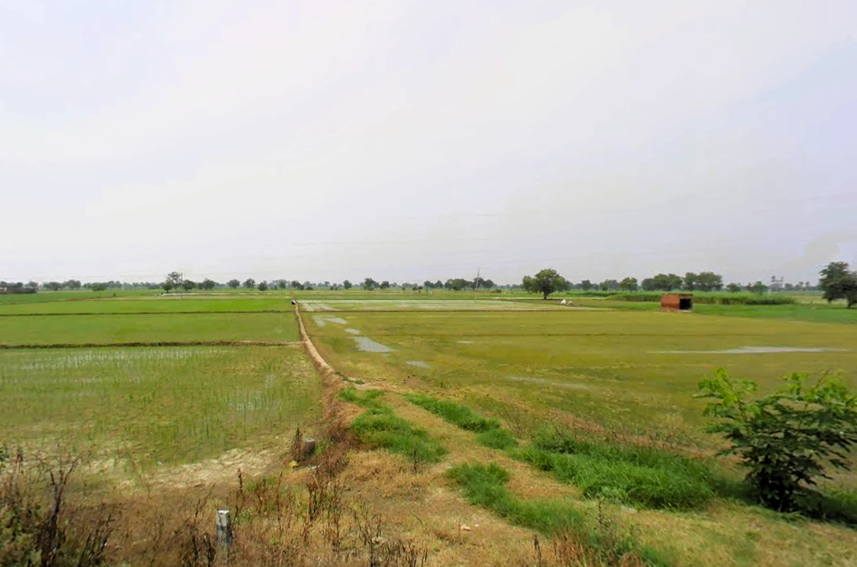 Bhalaut, Haryana 124401, India