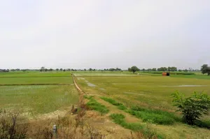 Bhalaut, Haryana 124401, India preview 2