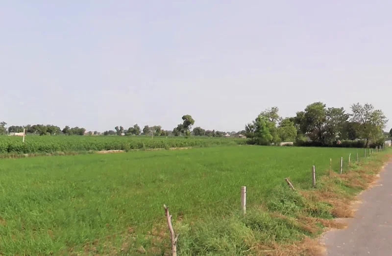 Sirsa, Haryana, India preview 3