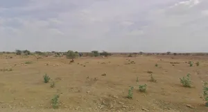Tanot, Rajasthan 345022, India preview 3