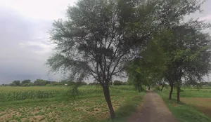 Chunar, Uttar Pradesh 231304, India preview 2