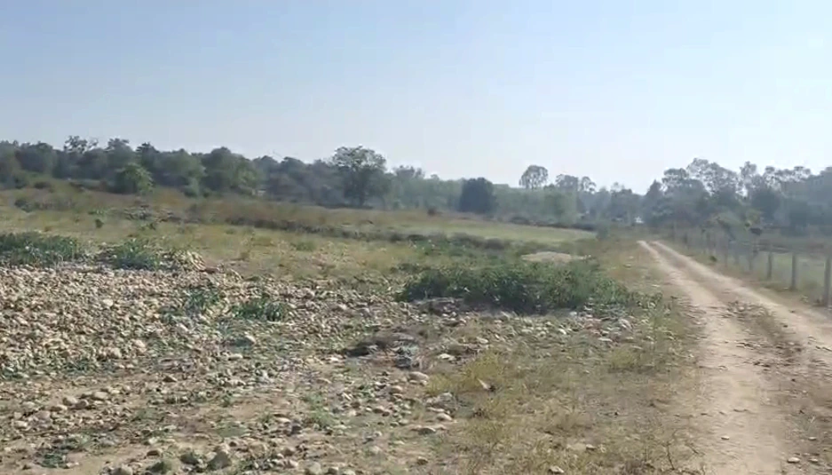 Pojewal, Punjab 144524, India