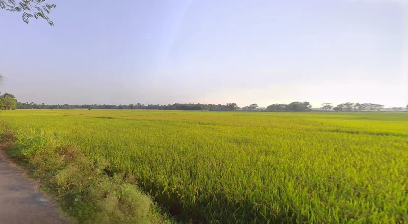 Falakata, West Bengal 735211, India preview 3