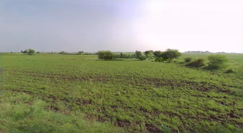 Kothi, Madhya Pradesh 485666, India preview 2