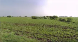 Kothi, Madhya Pradesh 485666, India preview 2