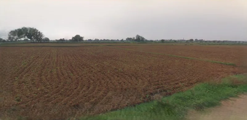 Barnagar, Madhya Pradesh 456771, India preview 3