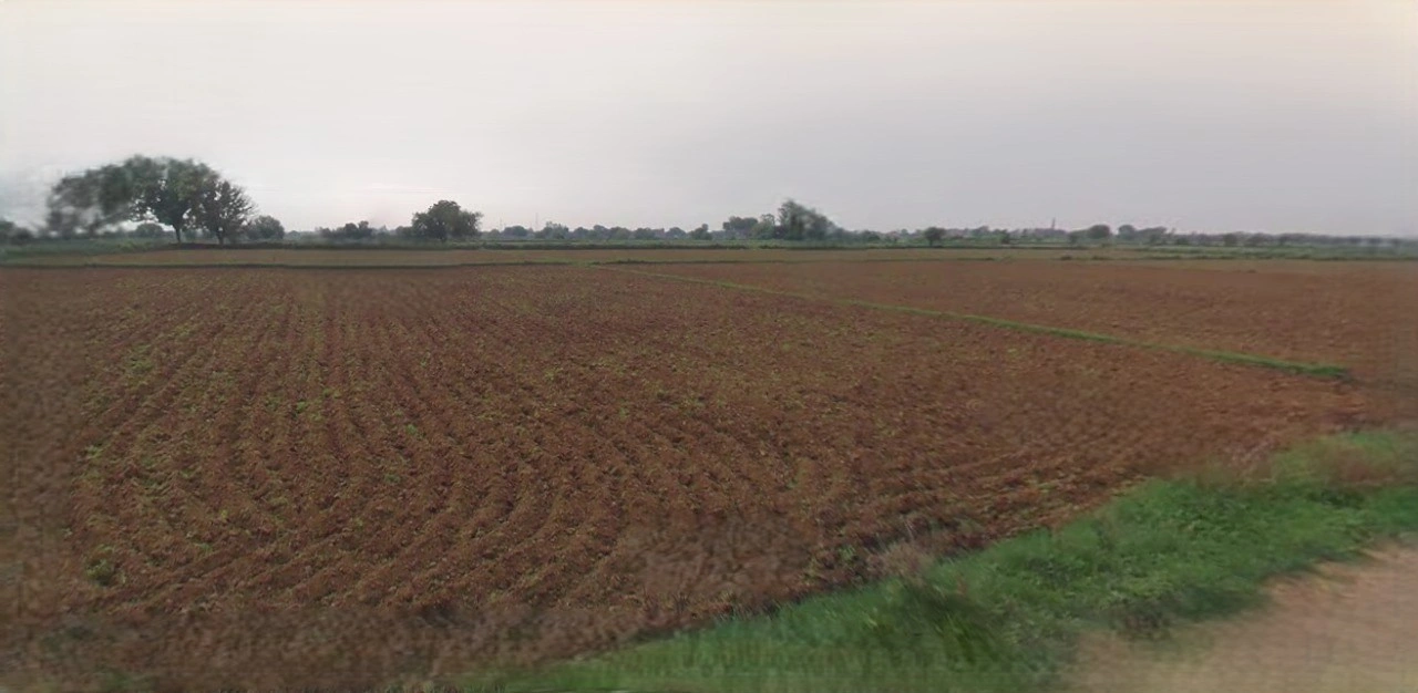 Barnagar, Madhya Pradesh 456771, India