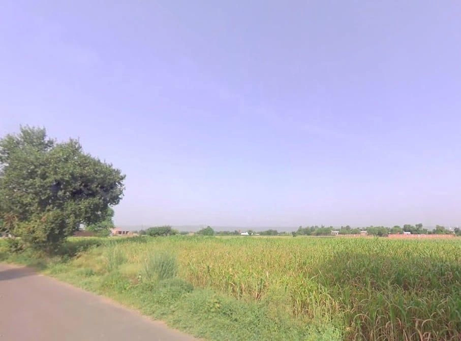 Langarwas, Rajasthan 301405, India