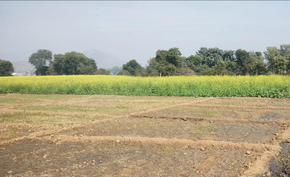 3R24+C6 Jamgaon, Chhattisgarh, India