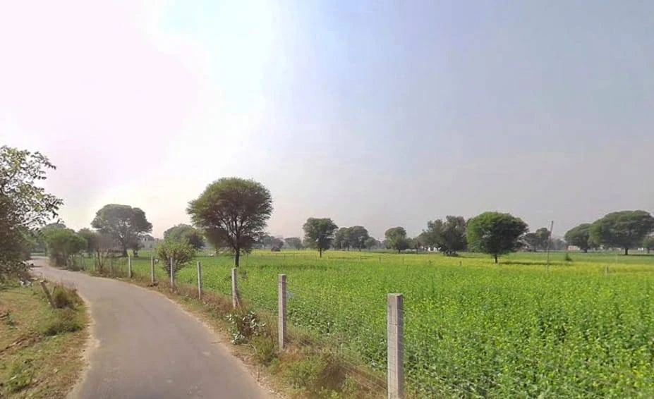3RVH+3J7, Khora Shyamdas, Rajasthan, India