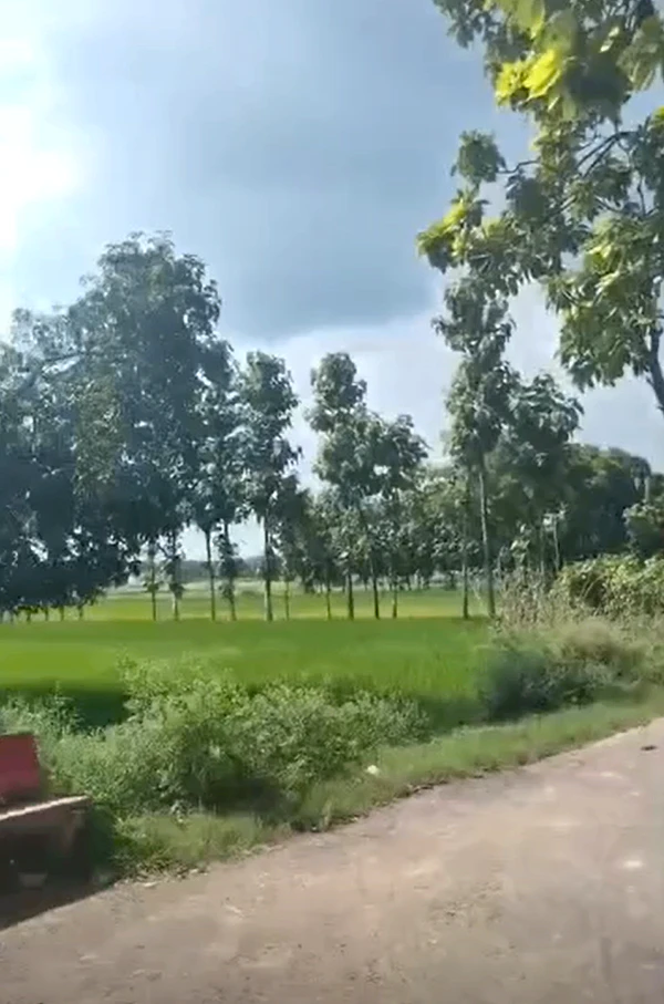 Maktapar, Gorakhpur, Uttar Pradesh 273209, India
