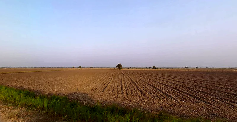 Vijapur, Gujarat, India preview 2