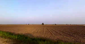 Vijapur, Gujarat, India preview 2