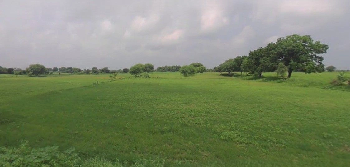 Nagal, Uttar Pradesh 247669, India