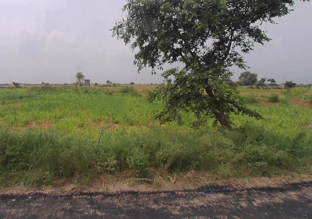 Kankather, Uttar Pradesh 244235, India