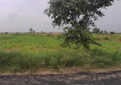 Kankather, Uttar Pradesh 244235, India preview 3