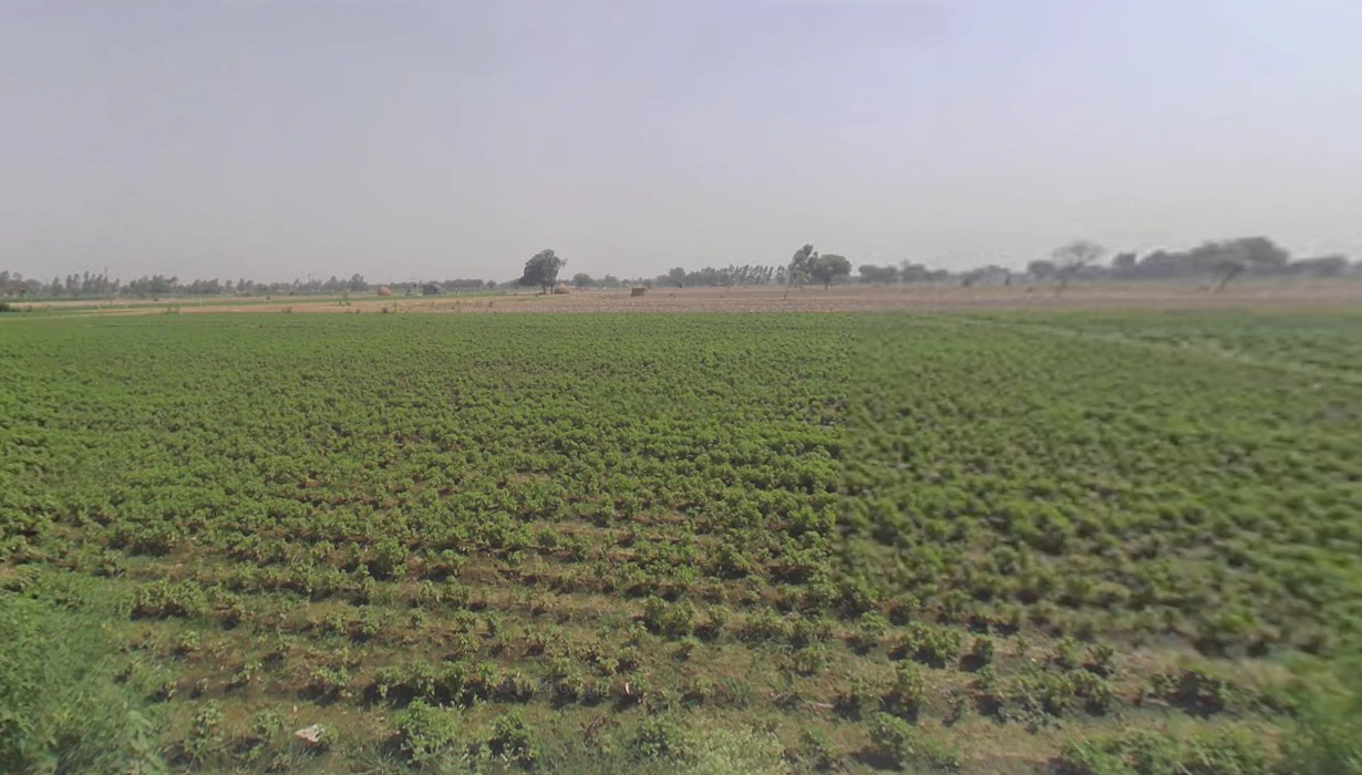 Kankaha, Uttar Pradesh 226301, India