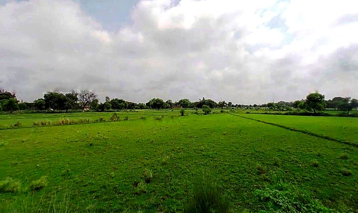 Dewara, Uttar Pradesh 212301, India