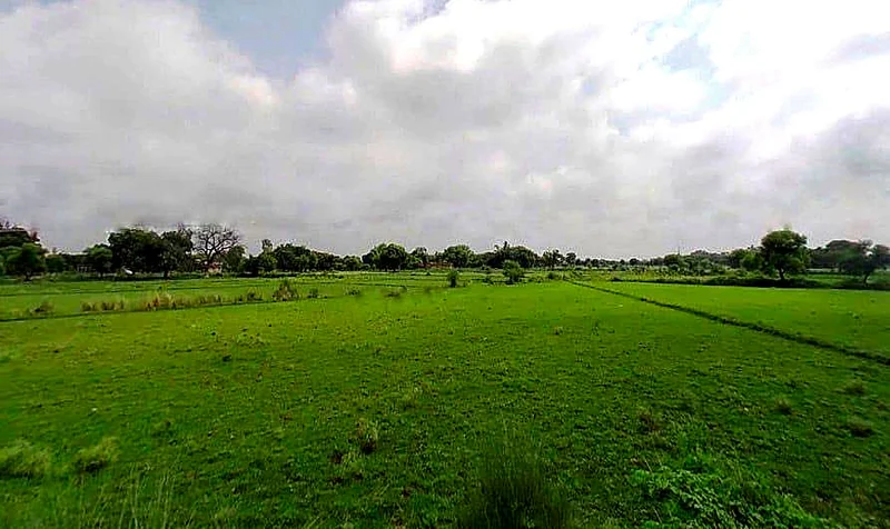 Dewara, Uttar Pradesh 212301, India preview 3