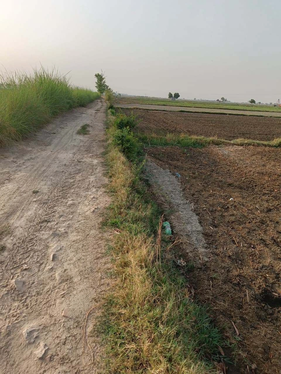 Tentigaon, Uttar Pradesh, India