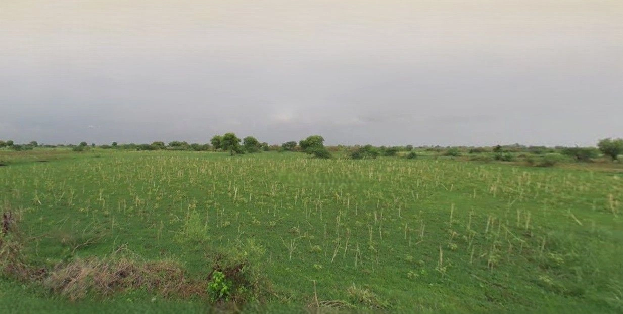 3W2Q+Q7X, Mazahidpur Satiwala Mazbata, Uttarakhand 247661, India