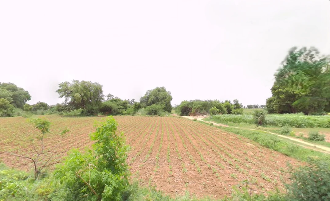 Madgul, Telangana, India