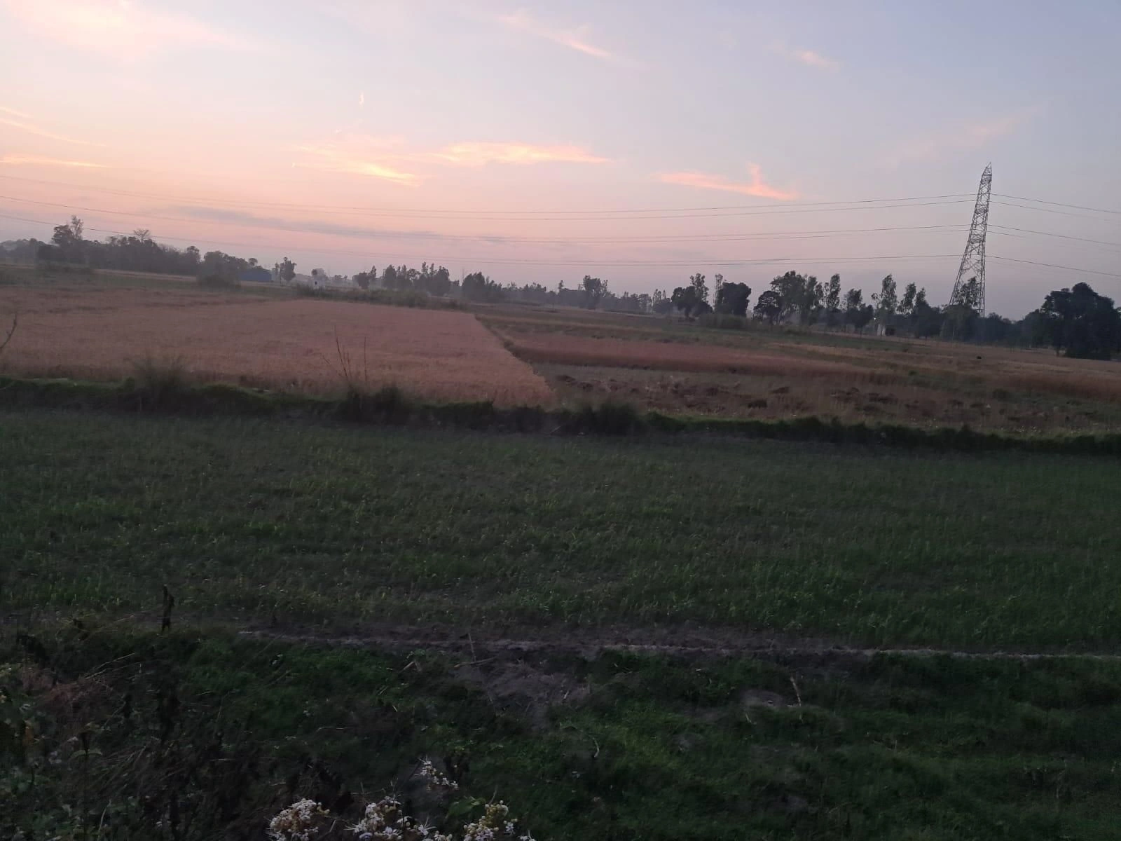 Faridpur, Uttar Pradesh 243503, India